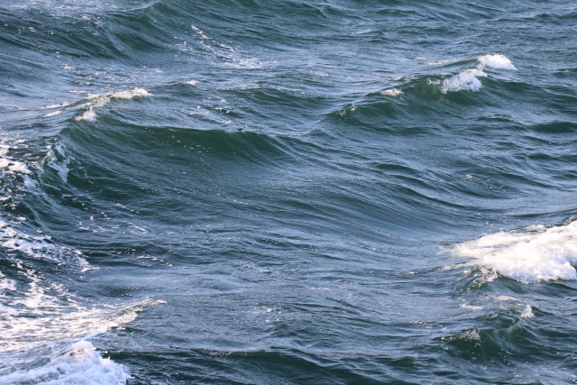 屋久島　海面　船酔い