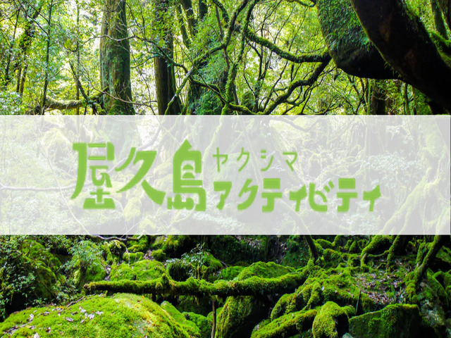 屋久島専門予約サイト　屋久島アクティビティ　ロゴ
