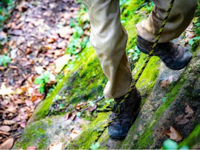 苔むした岩場をロープを伝って慎重に登る登山者の足元