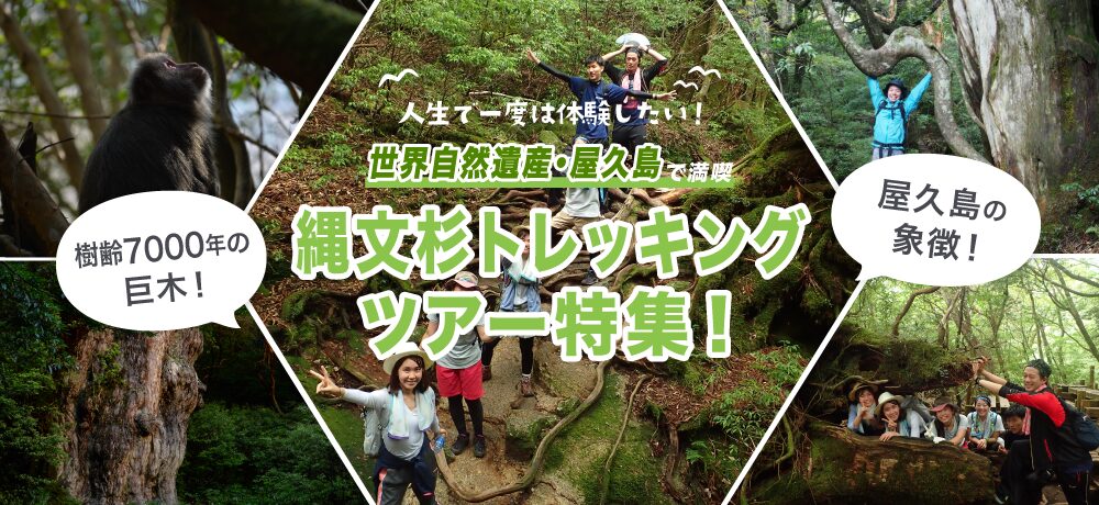 縄文杉トレッキングKV_pc