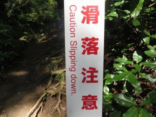 登山道に設置された「滑落注意」の警告看板と背景の生い茂る木々