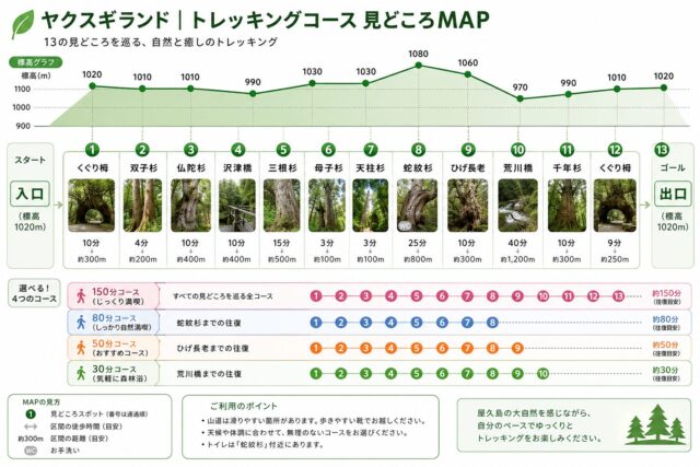 ヤクスギランド