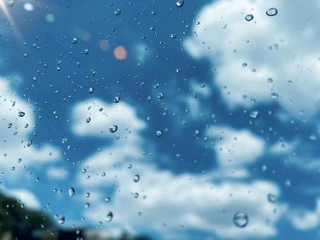 屋久島　雨　天気雨