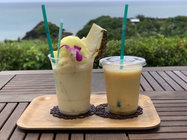 美しい海を背景に2つのスムージーが並べられたトレイ