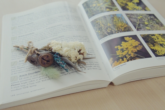 植物の図鑑のページと、その上に置かれた乾燥花束