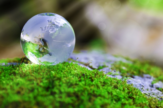 苔むした岩の上に置かれた透明なガラス玉の地球に映る環境保全のイメージ