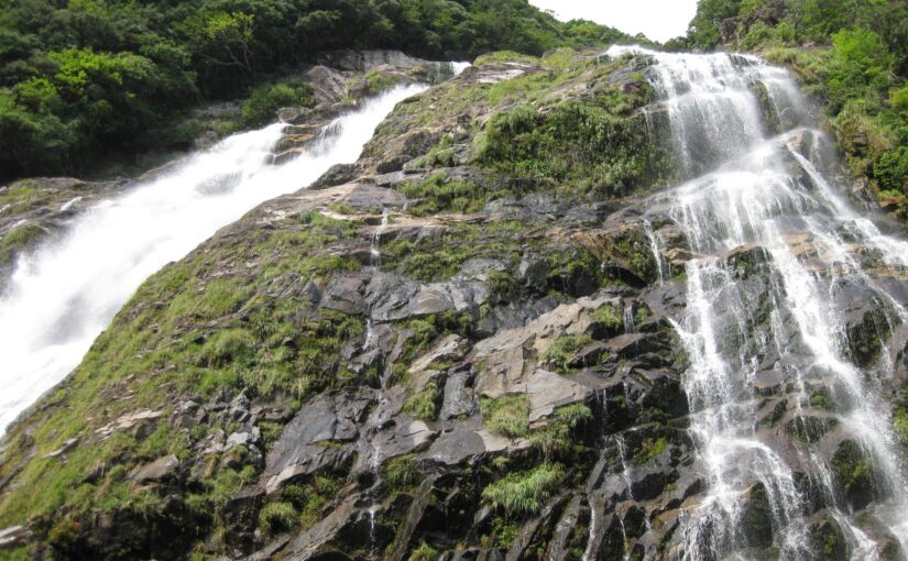 苔と草が生い茂る巨大な岩盤を流れ落ちる複数の滝筋（蛇之口滝）