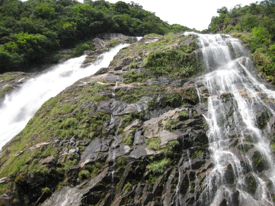 苔と草が生い茂る巨大な岩盤を流れ落ちる複数の滝筋（蛇之口滝）