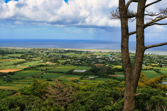 徳之島の広大な田園風景と青い海が広がり、山々が背景に映る風景