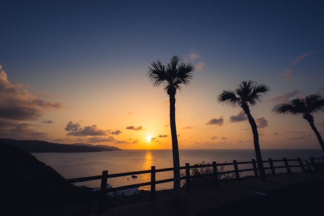 大浜海浜公園の夕暮れ時の海辺に立つヤシの木のシルエット、太陽が海に沈んでいく美しい風景