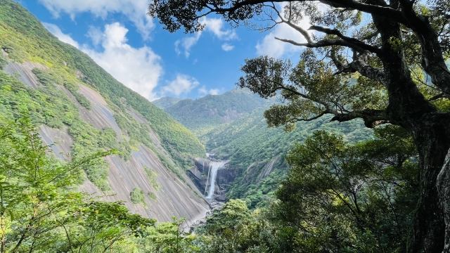 屋久島の緑の山肌と花崗岩の渓谷