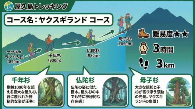 ヤクスギランドコース