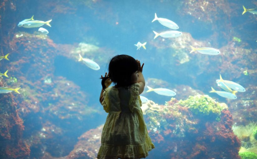 水族館の大きな水槽の前に立つ子ども