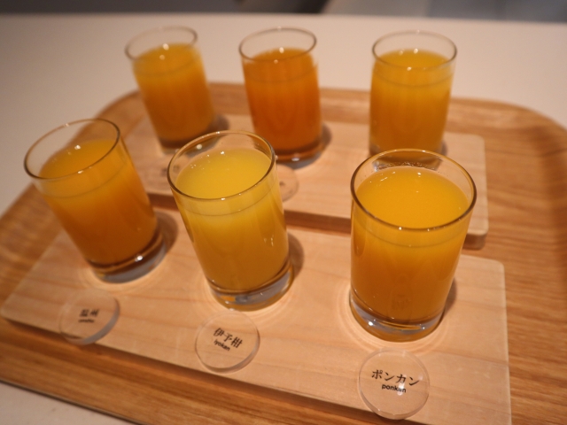ポンカン　タンカン　飲み比べ
