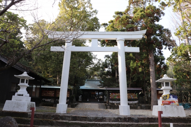 益救神社 鳥居・本殿
