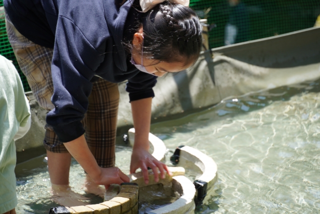 子どもが魚のつかみ取りをしている様子