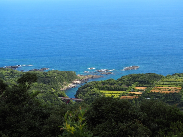 屋久島の海岸線と青い海を望む絶景|緑の山と東シナ海のパノラマ