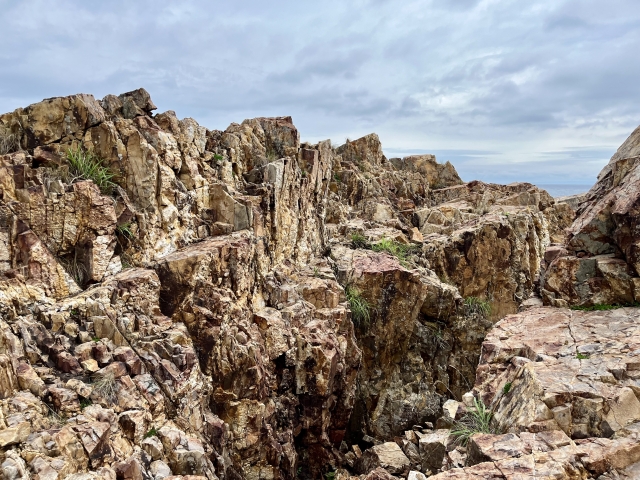 The Appearance of the Exposed Rock Face at the Site of the Nitta-Sazaki Mine