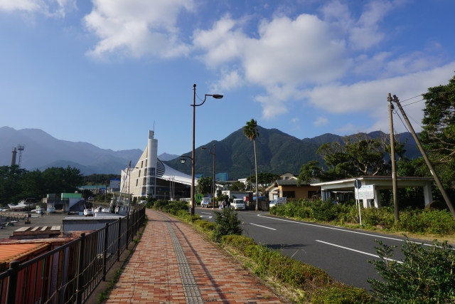宮之浦港近くの遊歩道から見た屋久島環境文化村センター