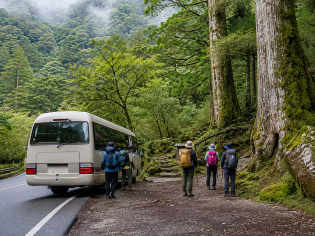 縄文杉 登山口