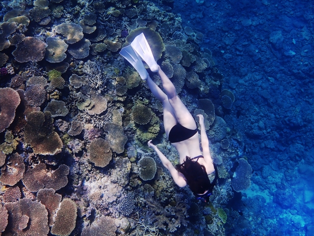 屋久島のサンゴ礁の上でスキンダイビングを楽しむ女性
